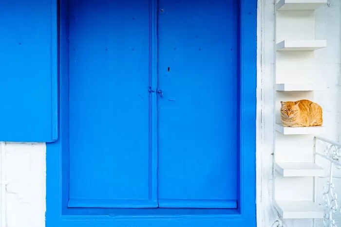 40 Cats Living In One Of The Most Beautiful Greek Islands That I Photographed