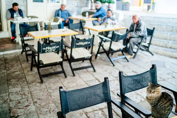 40 Cats Living In One Of The Most Beautiful Greek Islands That I Photographed