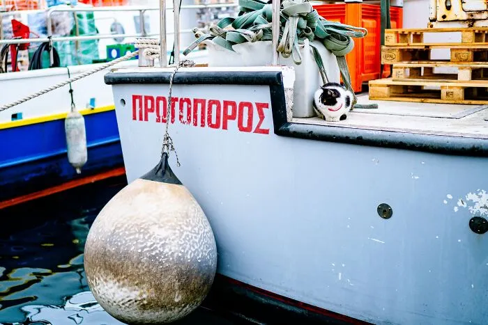 40 Cats Living In One Of The Most Beautiful Greek Islands That I Photographed