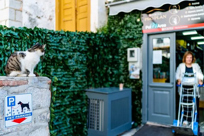 40 Cats Living In One Of The Most Beautiful Greek Islands That I Photographed
