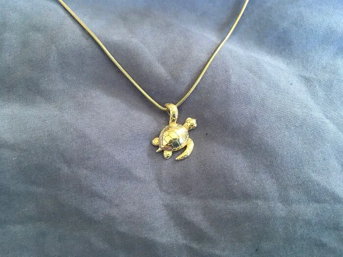 Tiny Turtle