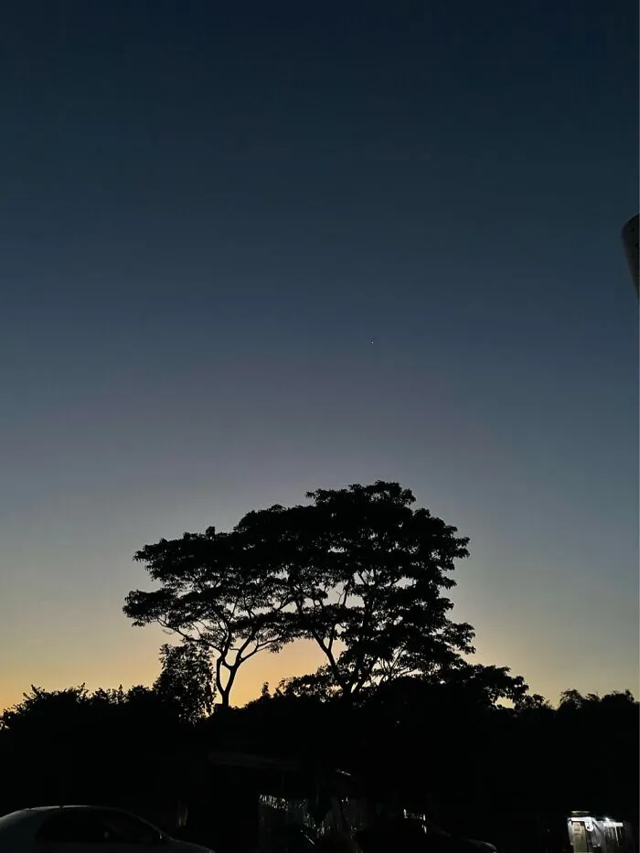 I Haven’t Got Most Of My Photos Anymore But Here’s One I Got Outside My Dorm