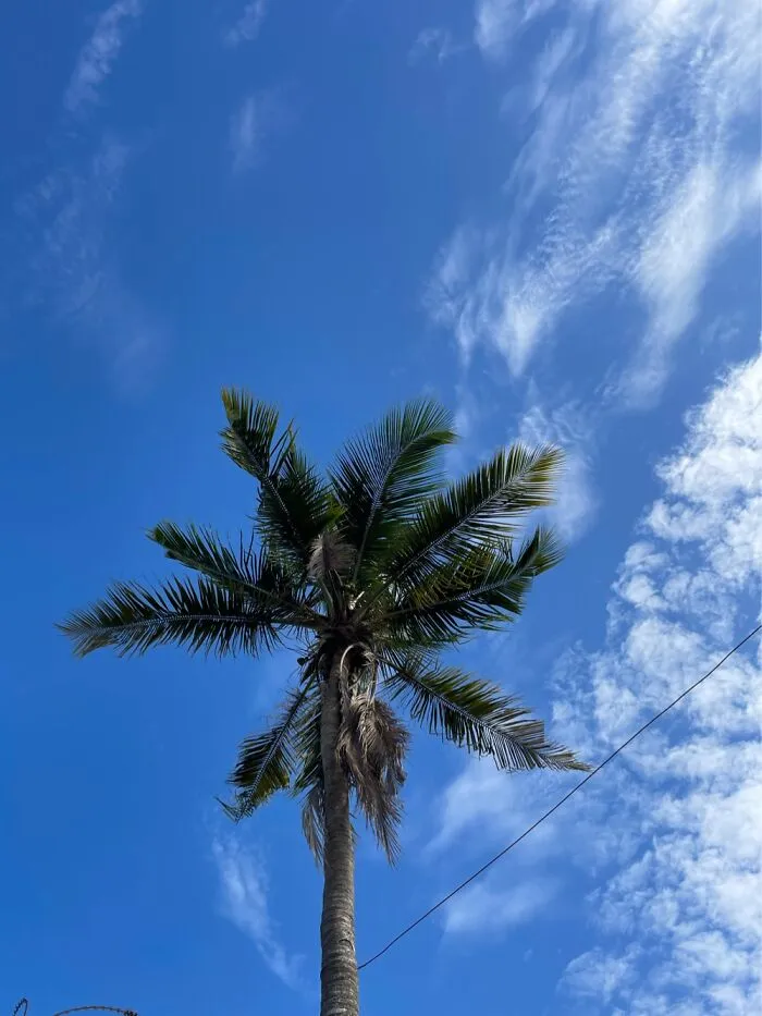 Last One… I Promise. Lagos, Nigeria