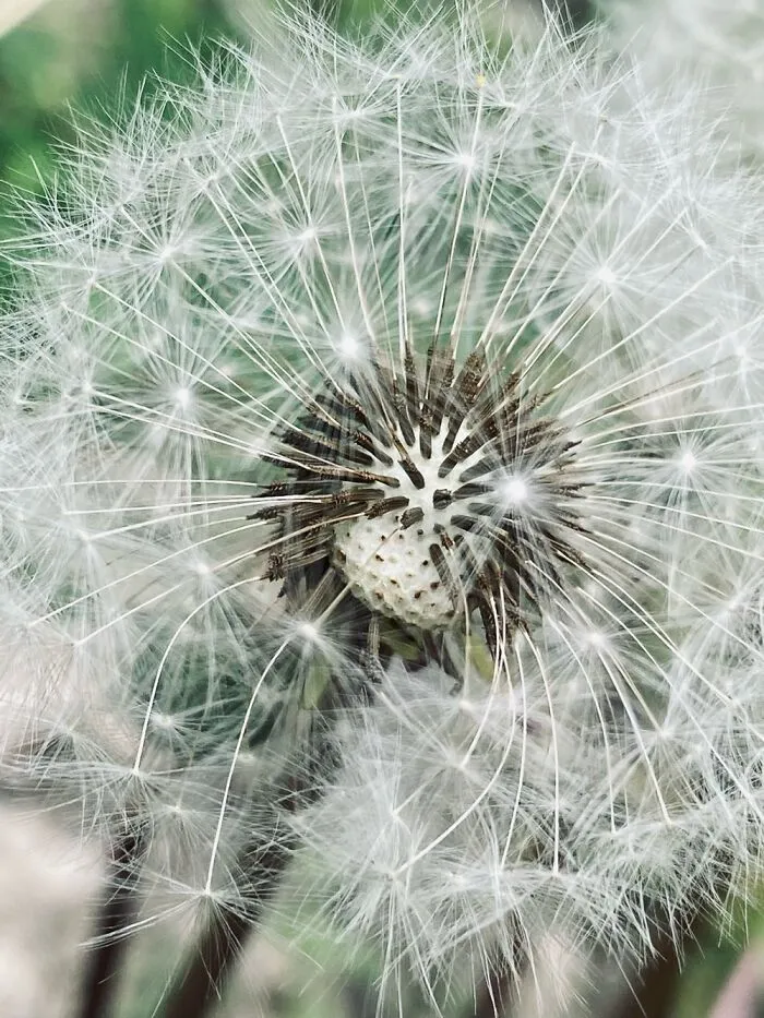 Are My Photographs Even Good?