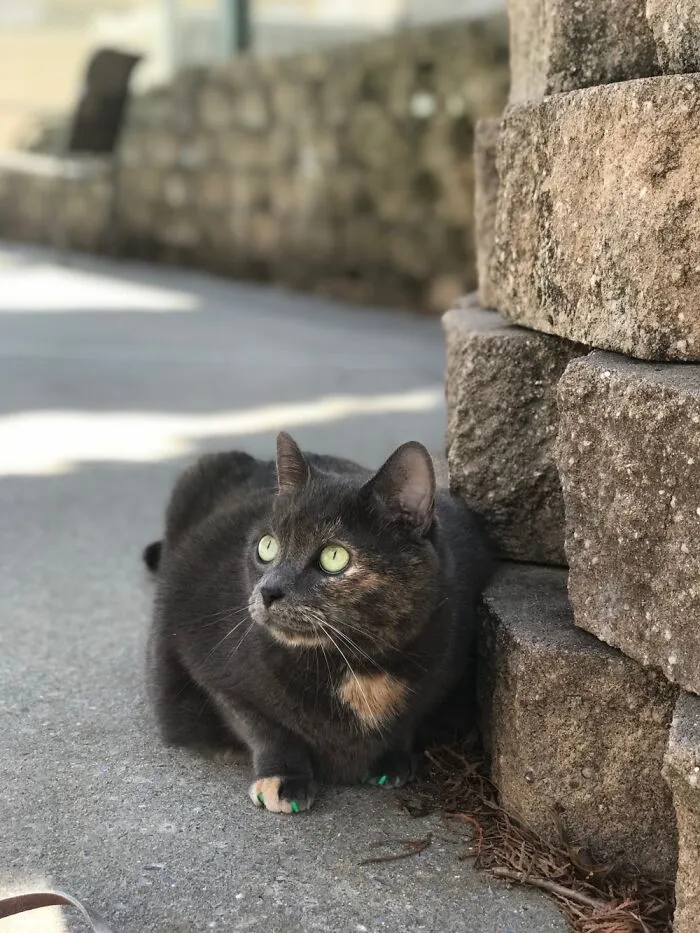 Lucy