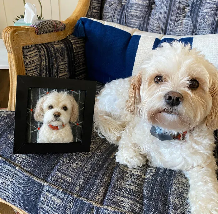Anneli Kirby Turns Wool Into Three-Dimensional Dog Portraits, And Here Are Her 37 Best Works