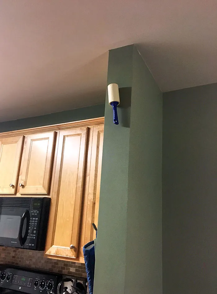 My Husband Has Been Sticking These Rollers In Places I Can't Reach To Annoy Me. It's Working