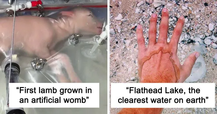 This Group Is Dedicated To All Things Interesting, And Here Are 50 Of Their Best Posts