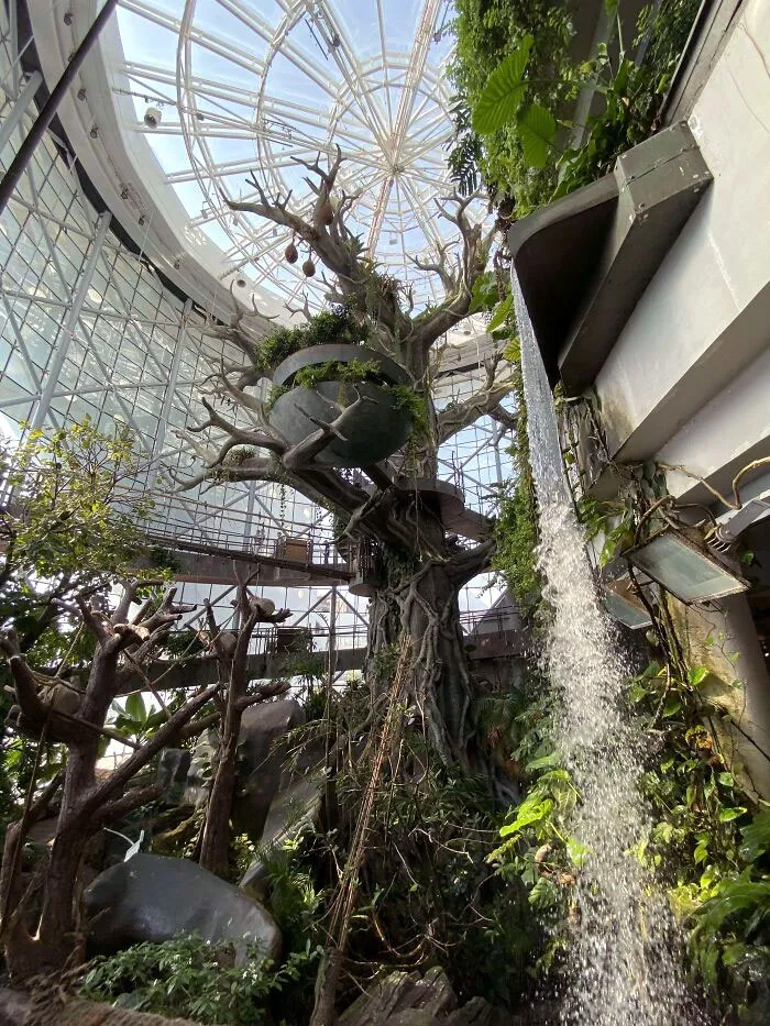 Green Planet In Dubai