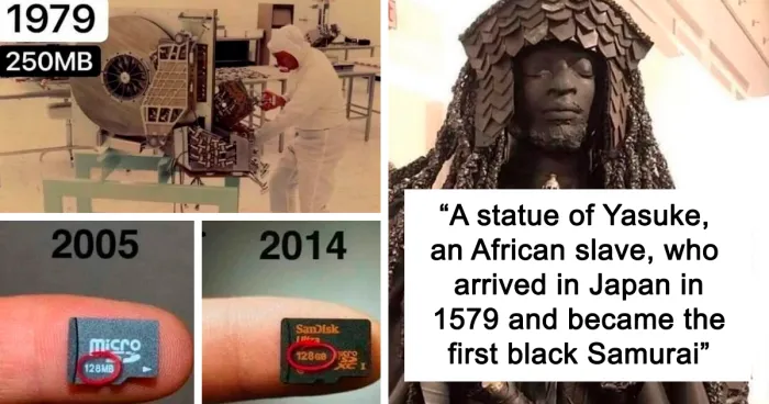30 Random Facts About Everything, Shared By A Twitter Account Called "Interesting Facts"