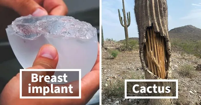 50 Times Things Got "Opened" And People Saw Interesting Things Inside (New Pics)