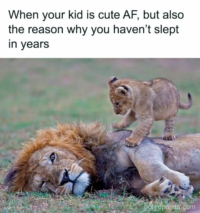 "Life Of Dad": 50 Funny And Wholesome Posts About Fatherhood