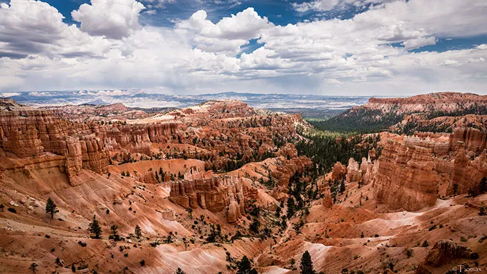 29 Things Non-American Tourists Loved And Hated About Visiting The US, As Shared In This Online Thread