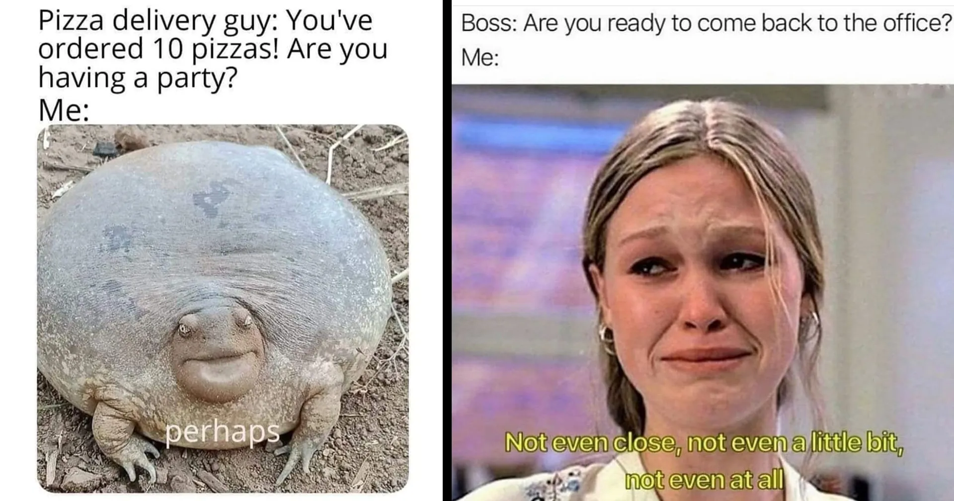 Funny Memes To Make Your Day Better