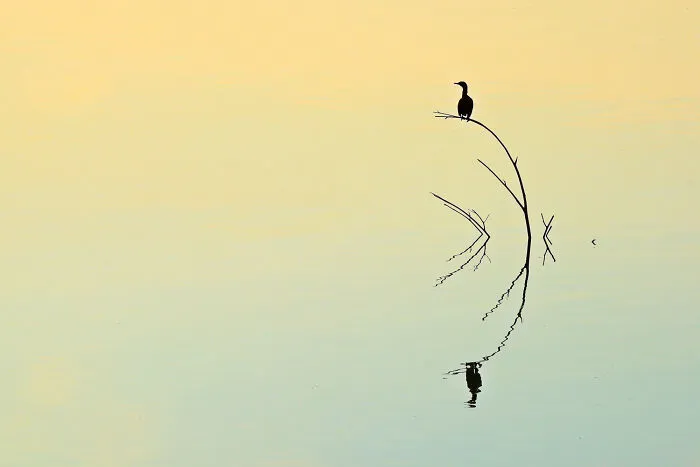 30 de las imágenes más impresionantes que capturan a la perfección el minimalismo