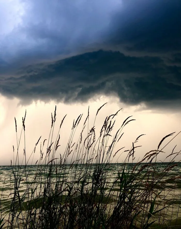 Sobrellevando la tormenta