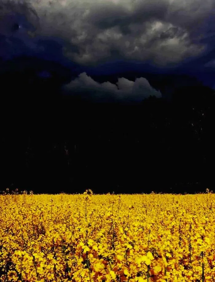 La tormenta perfecta