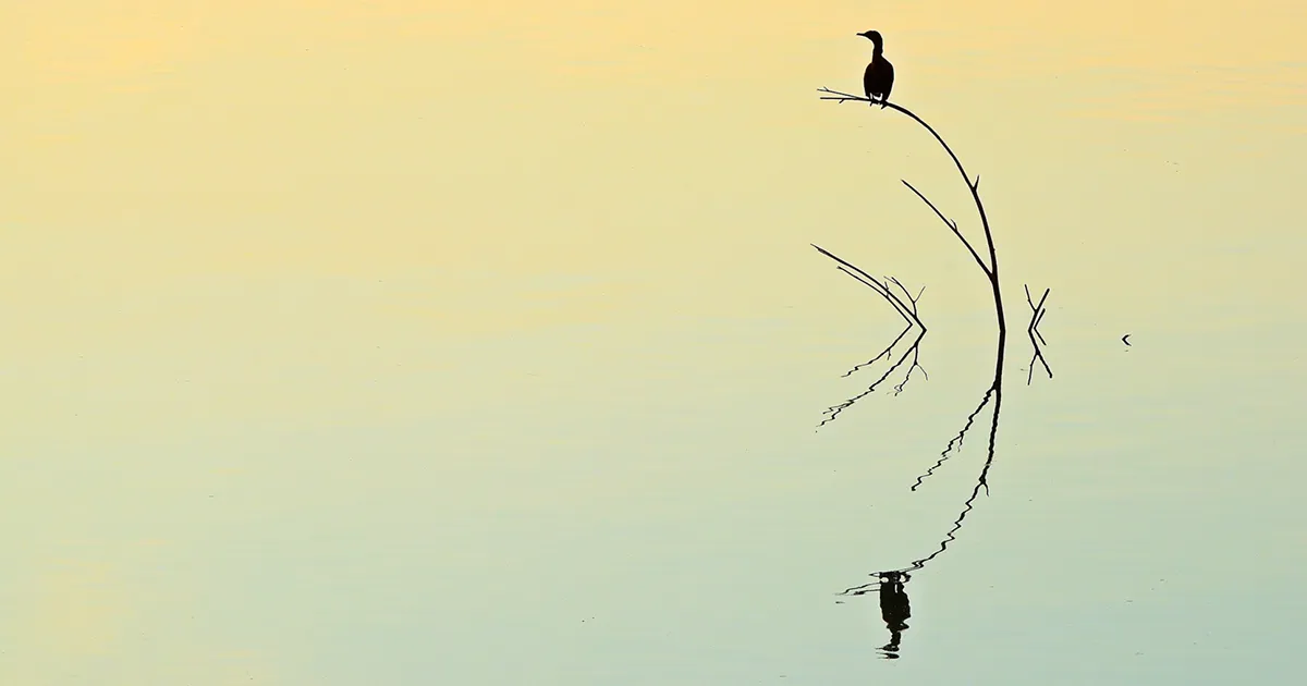 30 de las imágenes más impresionantes que capturan a la perfección el minimalismo