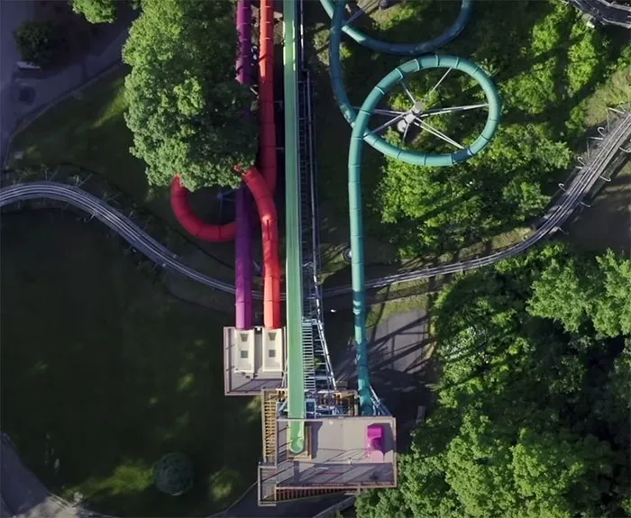 Class Action Park