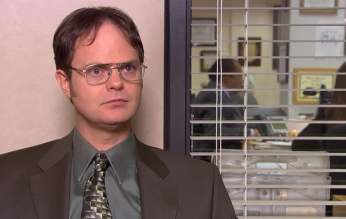 Rainn Wilson As Dwight Schrute
