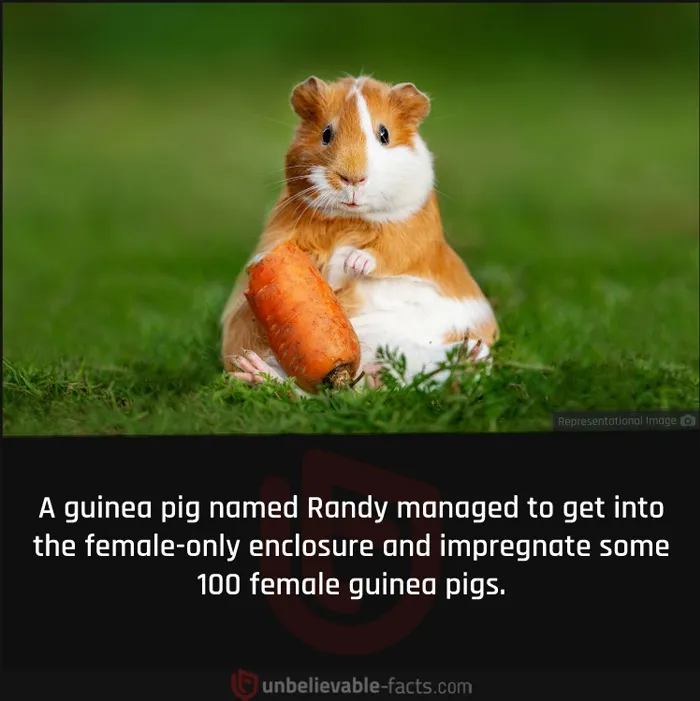 50 Intriguingly ‘Unbelievable Facts’ Perfect For Those Who Want To Test Their Knowledge Or Learn Something New