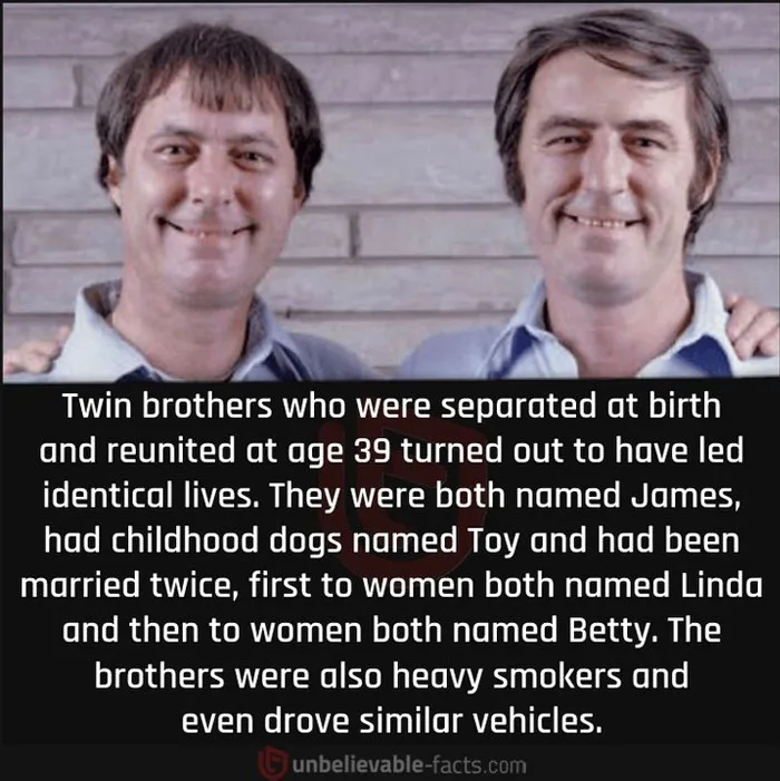 50 Intriguingly ‘Unbelievable Facts’ Perfect For Those Who Want To Test Their Knowledge Or Learn Something New