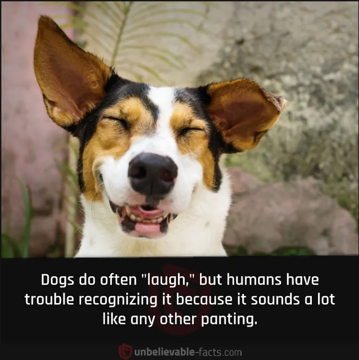50 Intriguingly ‘Unbelievable Facts’ Perfect For Those Who Want To Test Their Knowledge Or Learn Something New