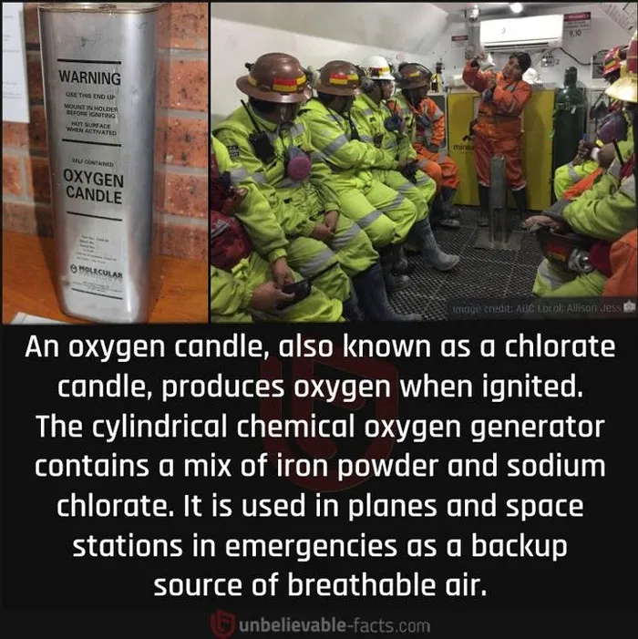 50 Intriguingly ‘Unbelievable Facts’ Perfect For Those Who Want To Test Their Knowledge Or Learn Something New