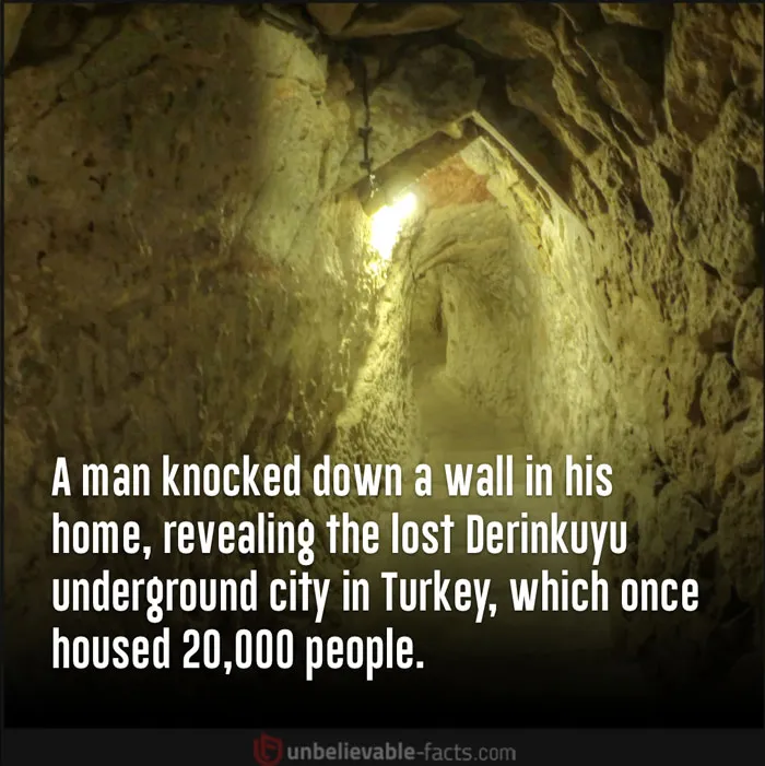 50 Intriguingly ‘Unbelievable Facts’ Perfect For Those Who Want To Test Their Knowledge Or Learn Something New