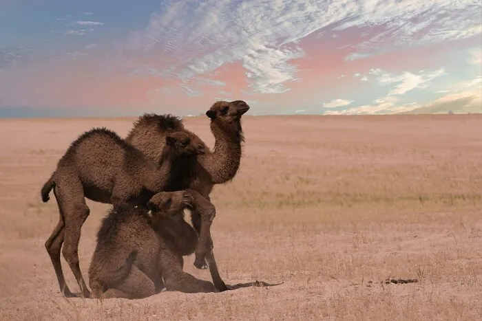 49 Very Australian Things These People Encountered While Visiting The Country