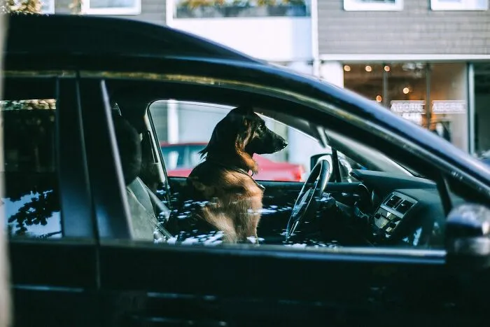 42 Underrated Car Essentials To Stay Ready On The Road
