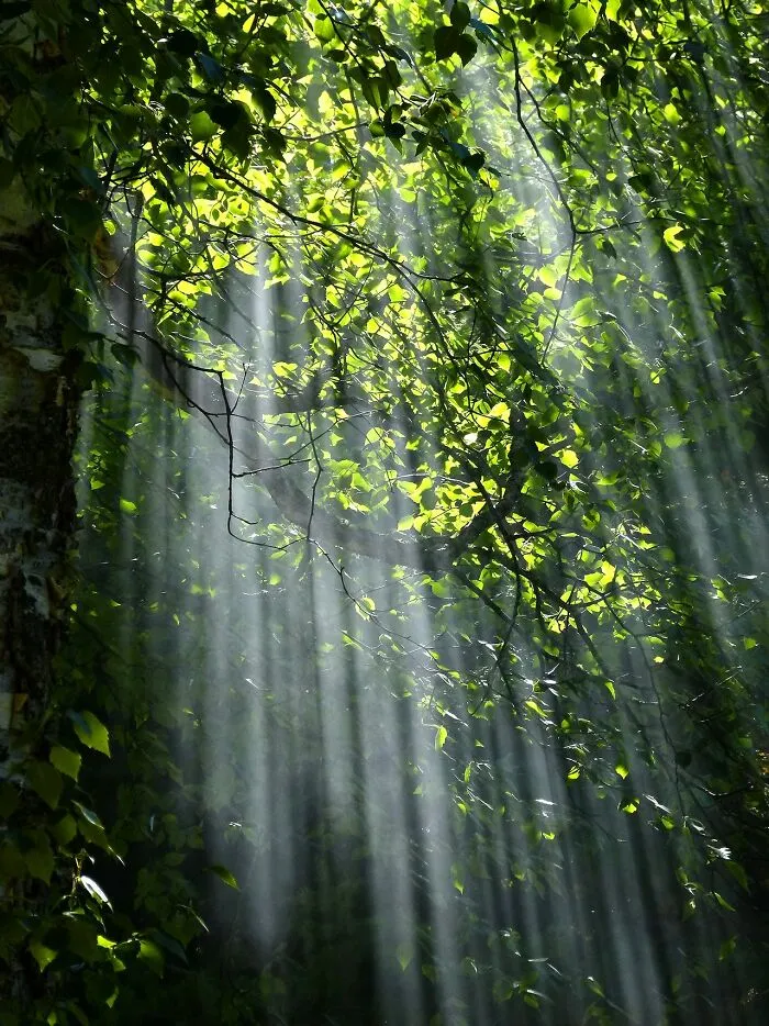 30 Things Worth Experiencing At Least Once In Your Life, According To People Online