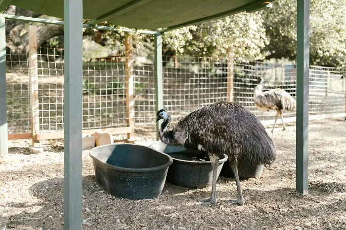 49 Very Australian Things These People Encountered While Visiting The Country