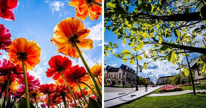 I Took Pictures Of Sunny Craiova In Romania (40 Pics)