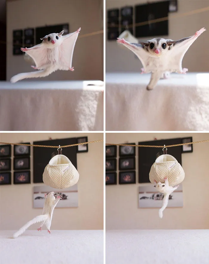 We Want To Show You How You Can Jump