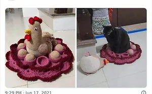 This Twitter Account Shares "Reasons" Why You Should Have A Cat, And Here Are 50 Of The Top Ones