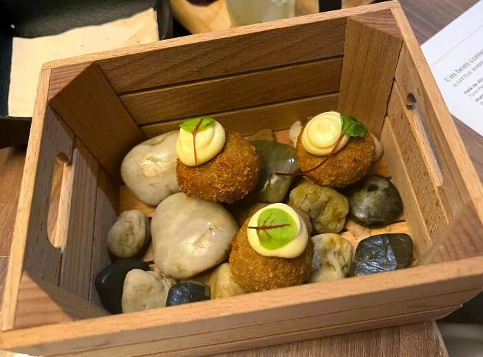 Croqueta en una caja entre rocas