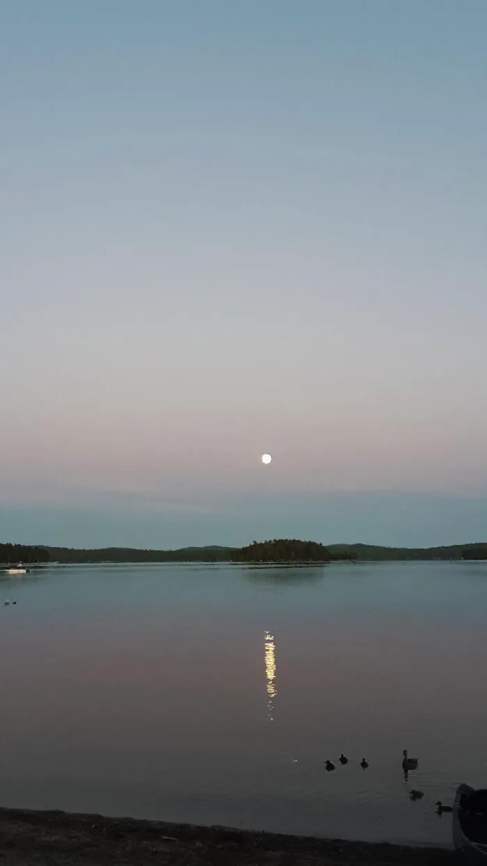 Here Is A Small Collection Of The Photographs I Took