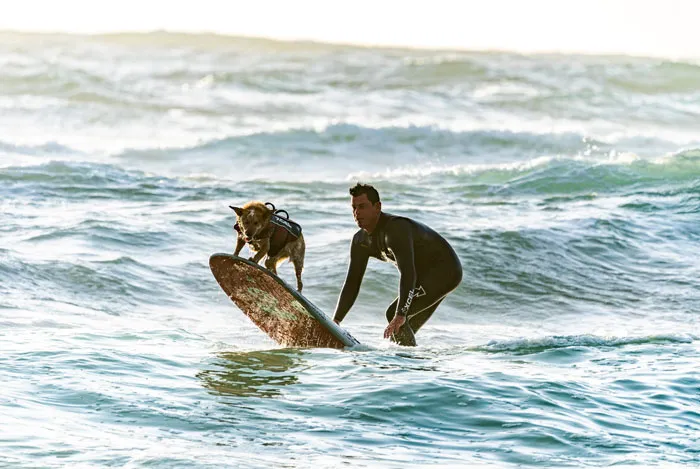 96 Summer Bucket List Ideas To Live Your Best Life This Summer