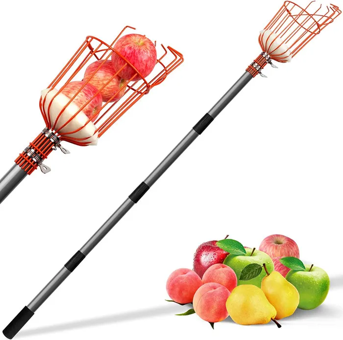 Tree fruit picking basket with apples 