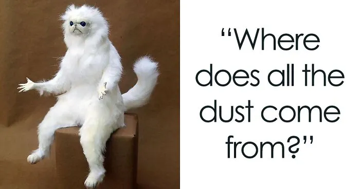 People Open Up About 30 Things About Becoming An Adult That Caught Them Completely Off Guard