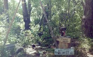Hey Pandas, Show Us A Picture You Took That Looks Like It Came Straight Out Of A Fantasy (Closed)