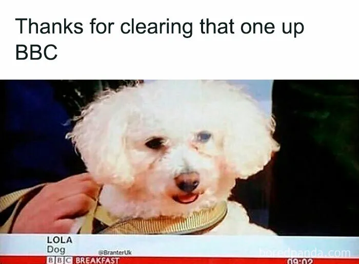 British Humor At Its Finest, As Shared By This Instagram Account (30 Pics)