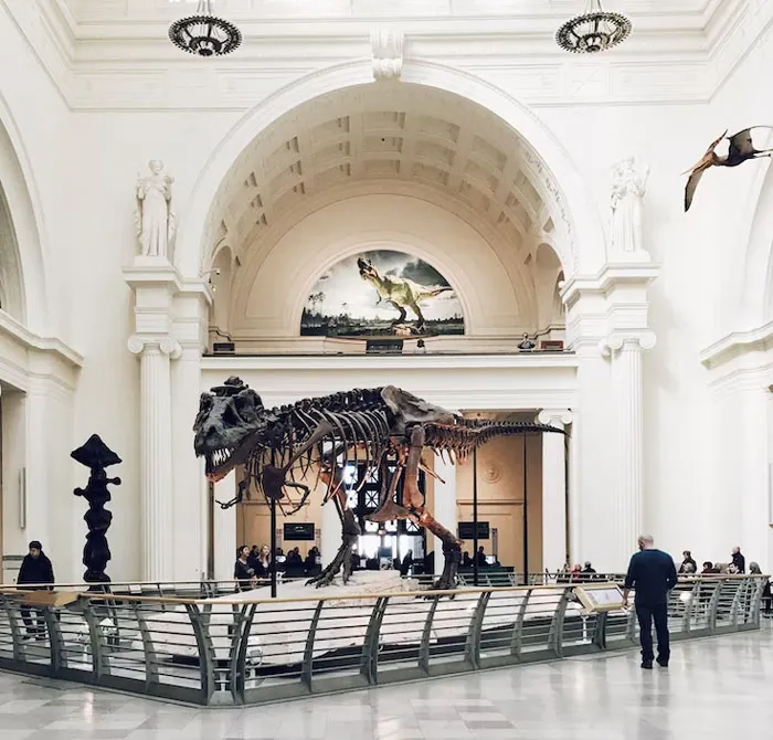 30 “Quintessential American Experiences” That Tourists Should Try, As Shared By Internet Users