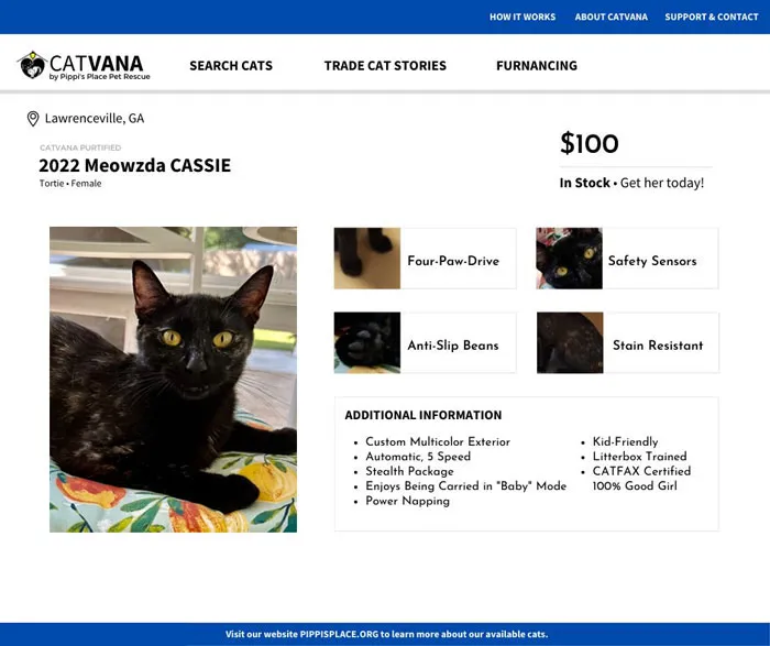These 12 Shelter Cats Are Advertised As Cars For Sale, And The Result Is Hilarious