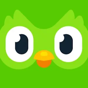 Duolingobird