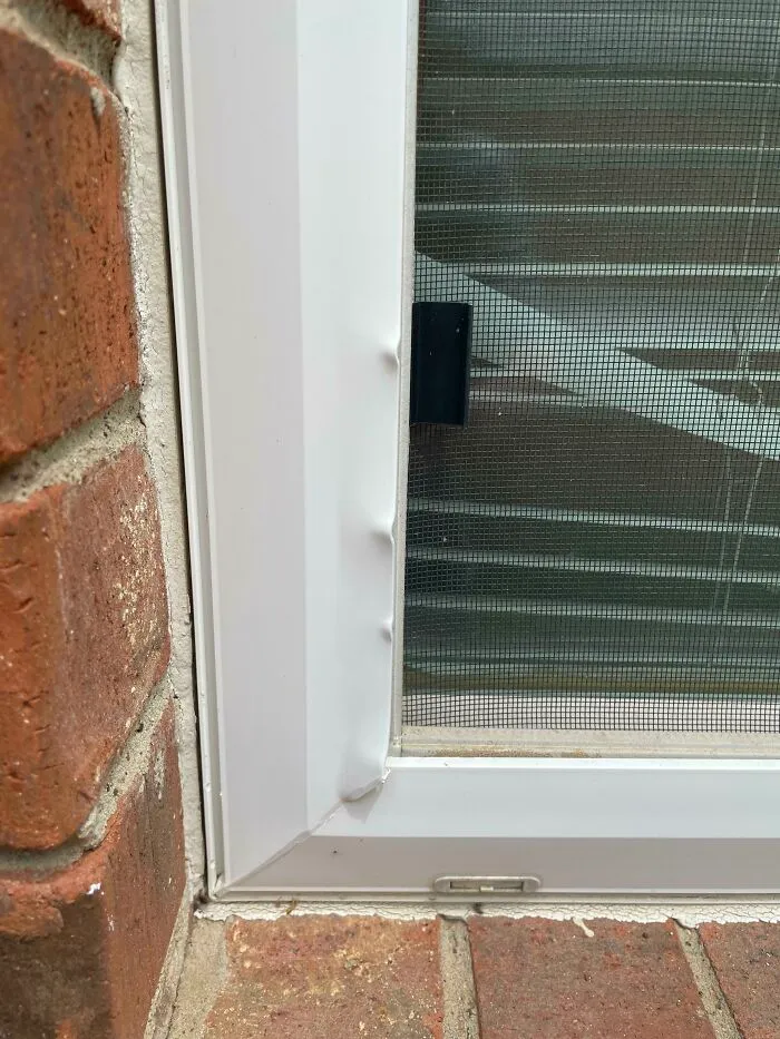 Me pareció oír un ruido procedente del exterior de mi ventana hace unas noches, pero lo ignoré. Noté esto esta mañana