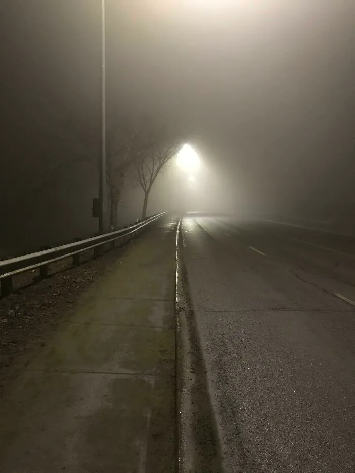 Mi camino a casa