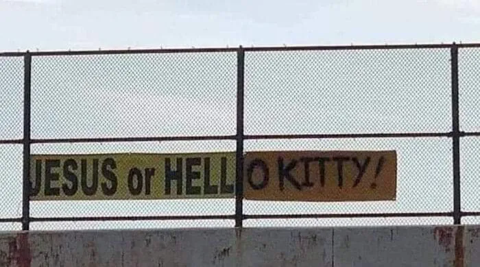 Me😺irl