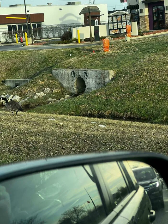Lo encontré yendo al trabajo esta mañana
